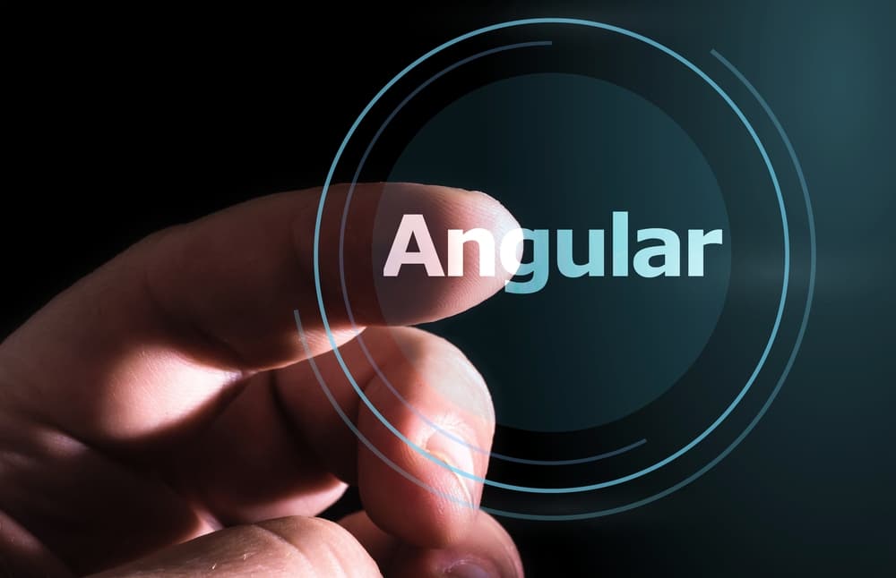 What Developers Love about Angular JS